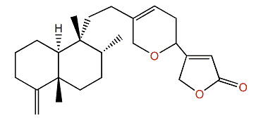 25-Deoxycacospongionolide B